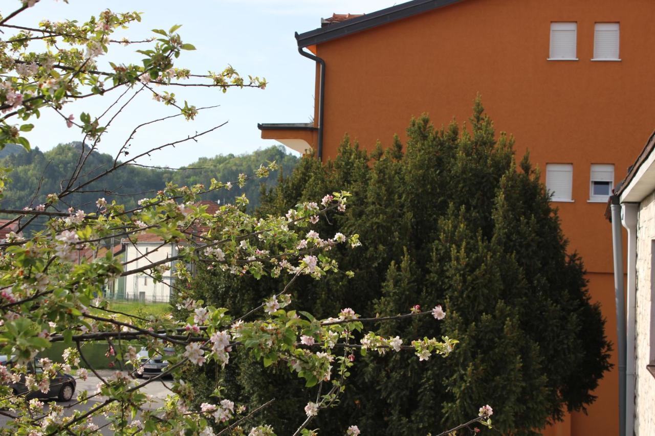 Apartments Kapisoda Τσέτινιε Εξωτερικό φωτογραφία